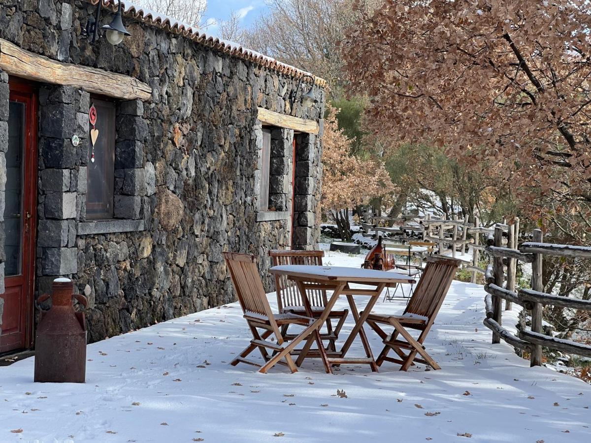 Il Frutteto di Efesto Villa Biancavilla Esterno foto