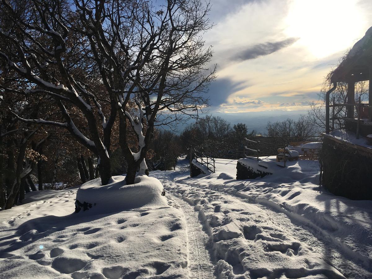 Il Frutteto di Efesto Villa Biancavilla Esterno foto